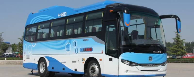 客车可以带宠物么 长途客车可以带宠物么