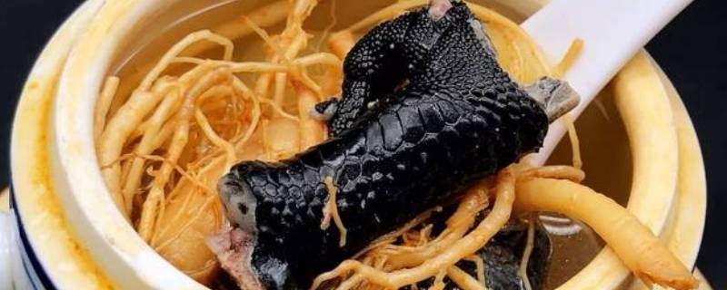 竹丝鸡汤用什么汤料搭配（五指毛桃竹丝鸡煲汤配什么）