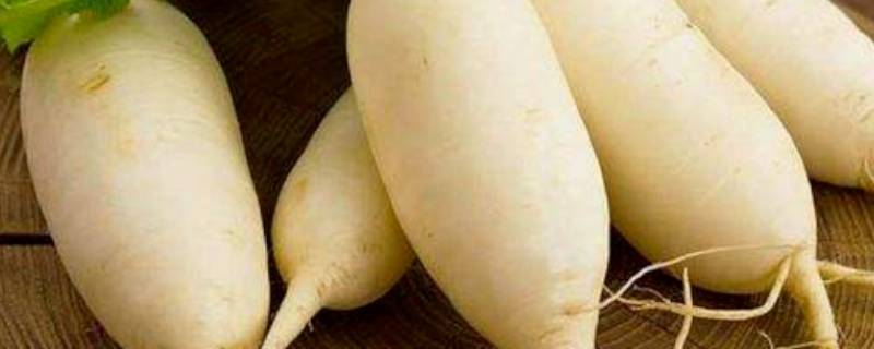 萝卜冻了以后还能吃吗（萝卜冻了以后还能吃吗图片）