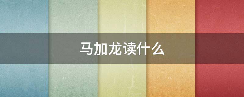 马加龙读什么 龙加马什么字怎么读