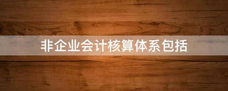 非企业会计核算体系包括 非企业会计核算体系包括什么