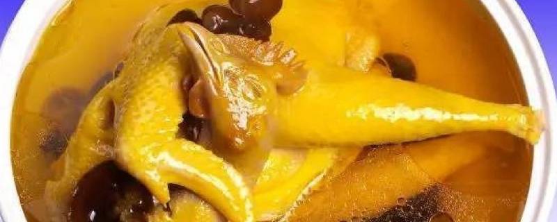 鸡肉搭配什么食材煲汤（鸡肉搭配什么食材煲汤好）