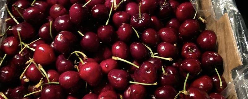 车厘子p果是几J（车厘子p果什么意思）