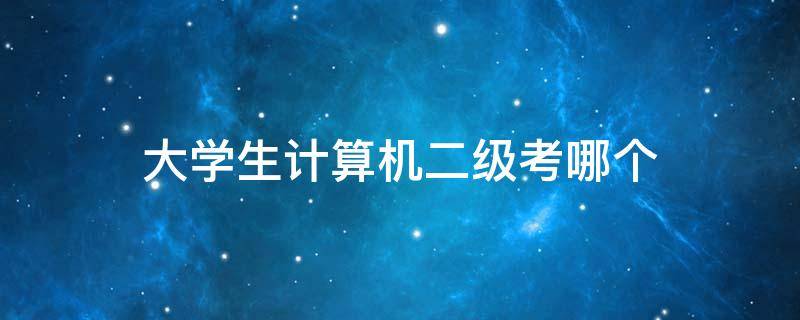 大学生计算机二级考哪个（大学生计算机二级考哪个好）