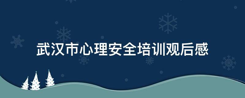 武汉市心理安全培训观后感（武汉市心理安全培训心得体会）