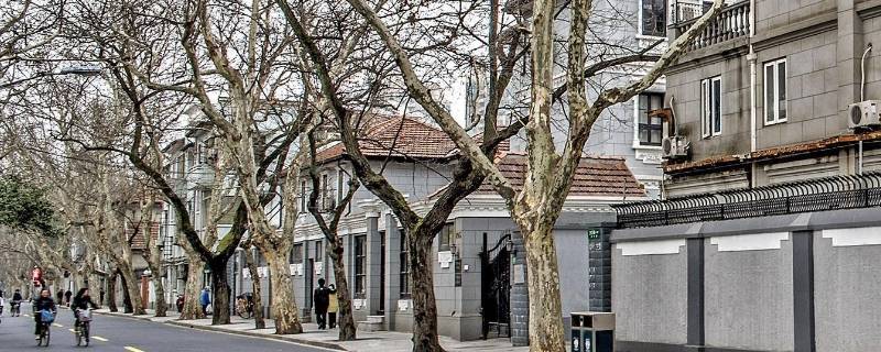 上海法租界在哪里（上海法租界在哪儿）