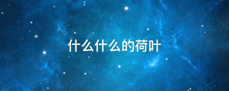 什么什么的荷叶 什么什么的荷叶?