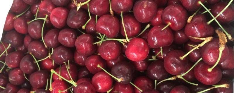 车厘子规格xld是什么意思（车厘子型号xld什么意思）