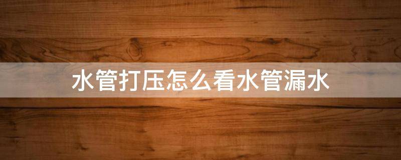 水管打压怎么看水管漏水（漏水点探测收费价格）