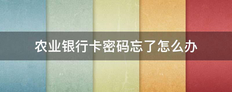 农业银行卡密码忘了怎么办 手机银行忘记密码怎么找回密码