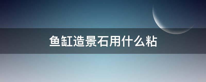 鱼缸造景石用什么粘（鱼缸造景石用什么粘合剂）