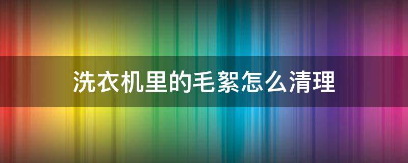 洗衣机里的毛絮怎么清理（洗衣机里的毛絮怎么清理视频）