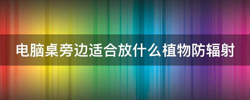 电脑桌旁边适合放什么植物防辐射（防辐射服排名前十名）