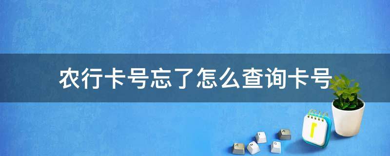 农行卡号忘了怎么查询卡号（95533短信查询卡号）