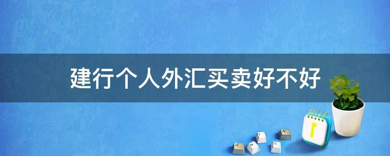 建行个人外汇买卖好不好（建行个人外汇买卖好不好操作）