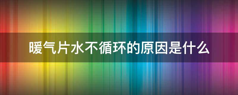 暖气片水不循环的原因是什么（暖气片内水不循环）