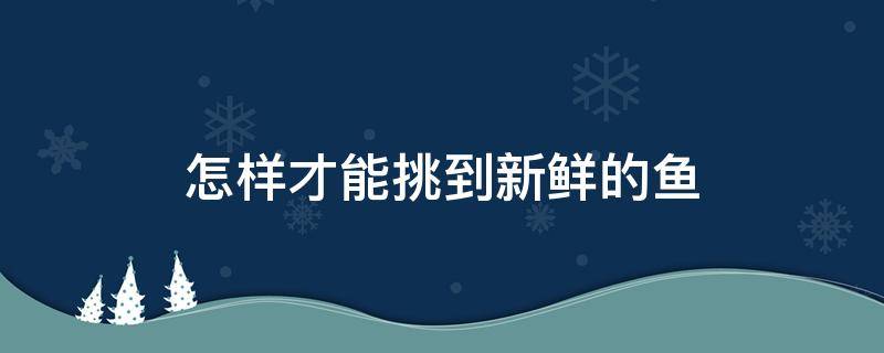怎样才能挑到新鲜的鱼（怎样才能挑到新鲜的鱼干）