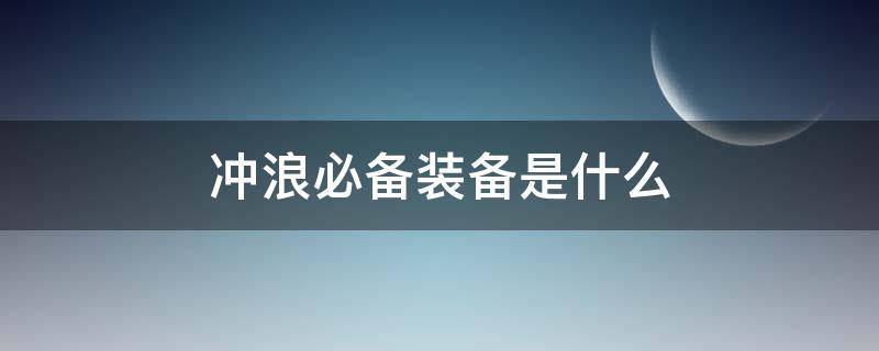 冲浪必备装备是什么（冲浪必备装备是什么意思）