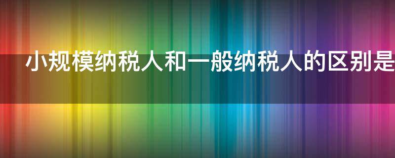 小规模纳税人和一般纳税人的区别是什么