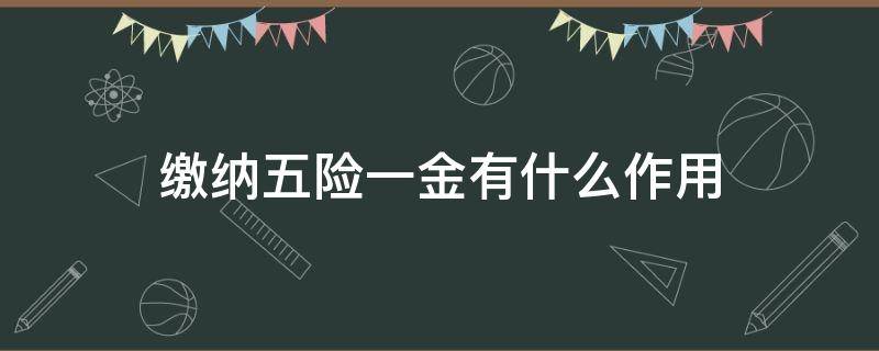 缴纳五险一金有什么作用（缴纳五险一金的意义）