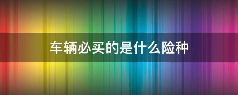 车辆必买的是什么险种（车辆必买的险种有哪些）