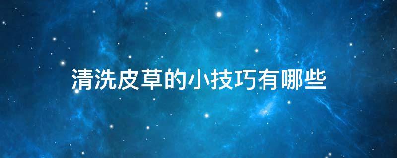 清洗皮草的小技巧有哪些 皮草日常如何清洗护理