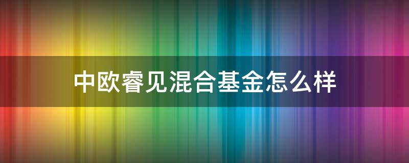 中欧睿见混合基金怎么样（中欧睿见混合基金值得买吗）