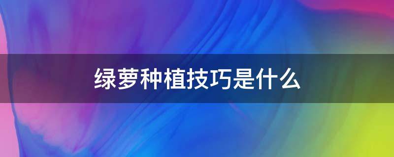 绿萝种植技巧是什么（绿萝种植技巧是什么呢）