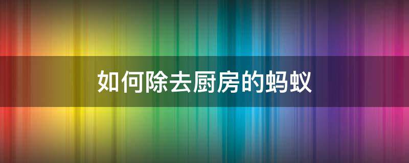 如何除去厨房的蚂蚁（怎样彻底清除厨房里的蚂蚁）
