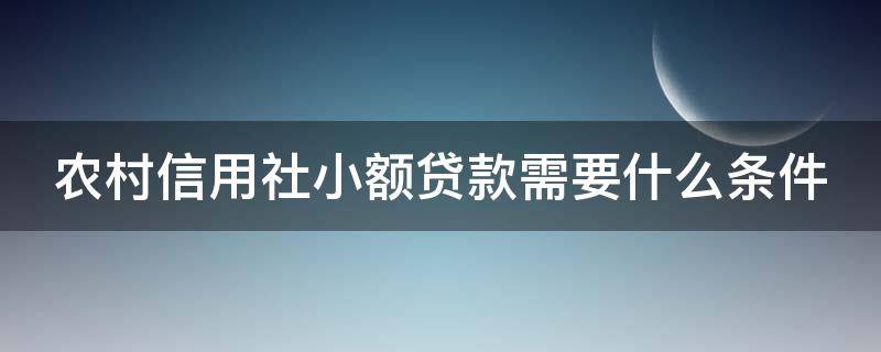 农村信用社小额贷款需要什么条件（农村信用社小额贷款需要什么条件,可下多少钱）