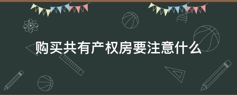 购买共有产权房要注意什么（购买共有产权房注意事项）