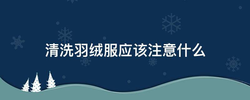 清洗羽绒服应该注意什么（清洗羽绒服应该注意什么细节）