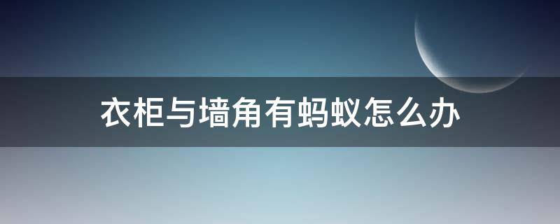 衣柜与墙角有蚂蚁怎么办（衣柜与墙角有蚂蚁怎么办呢）