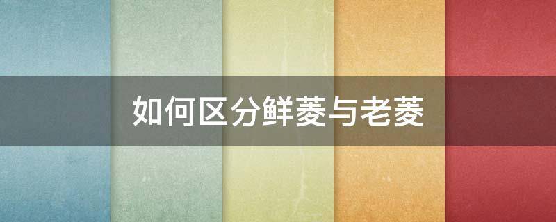 如何区分鲜菱与老菱（鲜菱角和老菱角的区别）