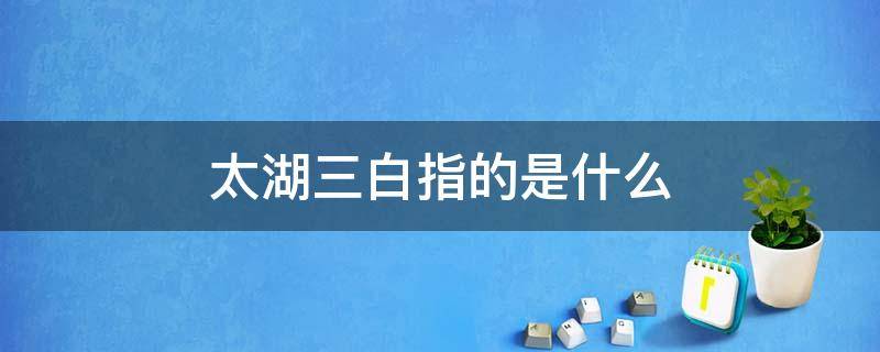 太湖三白指的是什么 太湖三白指的是什么东西