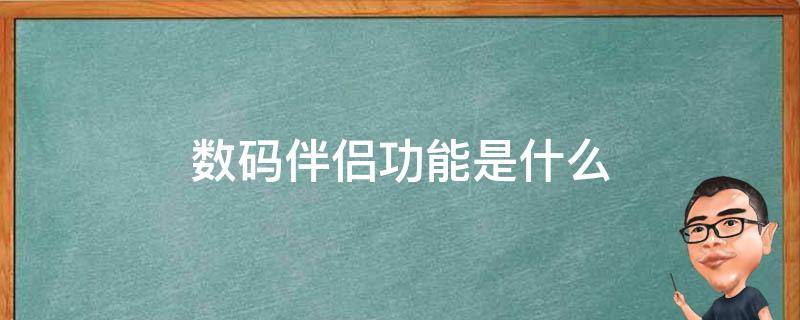 数码伴侣功能是什么（数码伴侣的主要作用是什么）