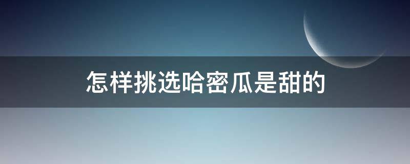 怎样挑选哈密瓜是甜的 哈密瓜瓜怎么挑选比较甜的