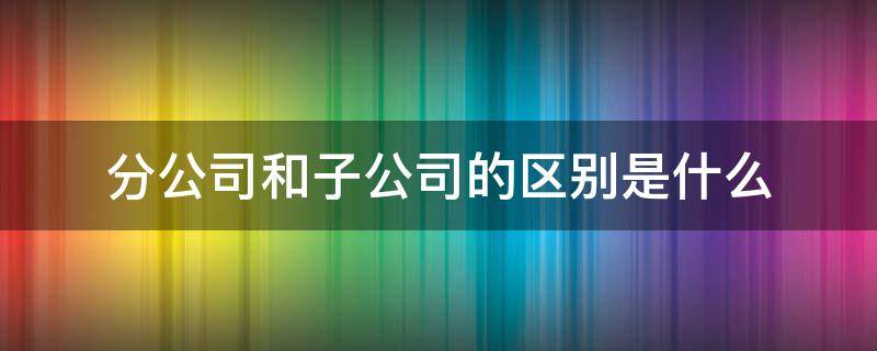 分公司和子公司的区别是什么