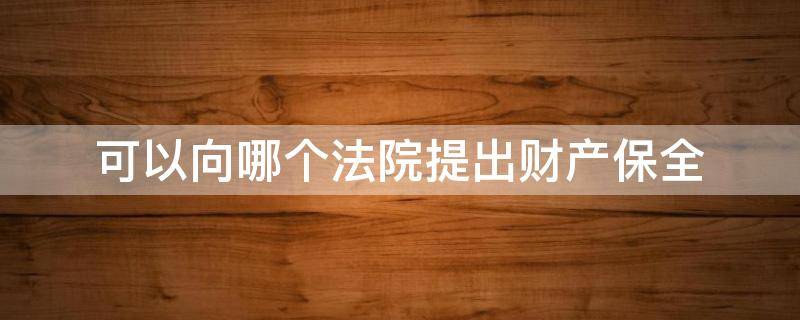 可以向哪个法院提出财产保全（可以向哪个法院提出财产保全条款）
