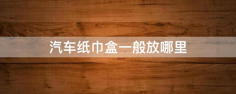 汽车纸巾盒一般放哪里（汽车纸巾盒放在哪里比较好）