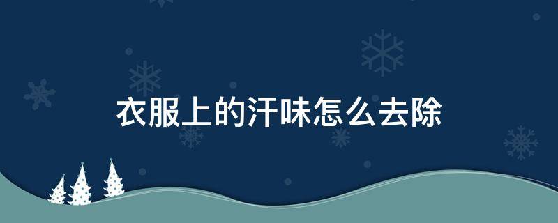 衣服上的汗味怎么去除（衣服上的汗味怎么去除小窍门）