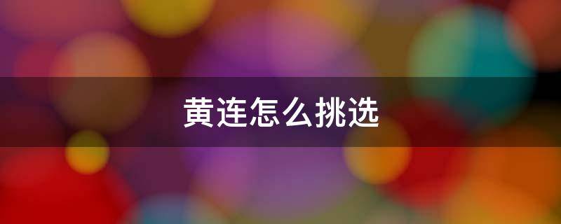 黄连怎么挑选（怎样挑选黄连）