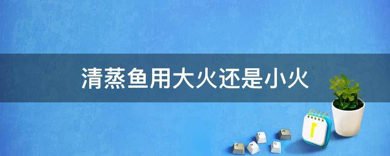 清蒸鱼用大火还是小火（清蒸鱼用什么火）