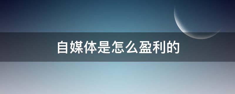 自媒体是怎么盈利的（自媒体是怎样盈利的）