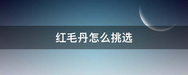 红毛丹怎么挑选（红毛丹怎么样才是坏的）