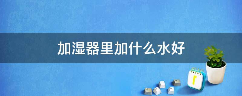 加湿器里加什么水好（加湿器里加什么水好一些）