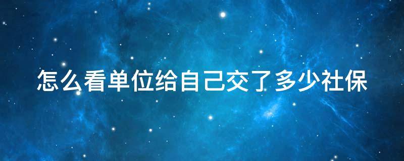 怎么看单位给自己交了多少社保（怎么看单位给你交了多少社保）