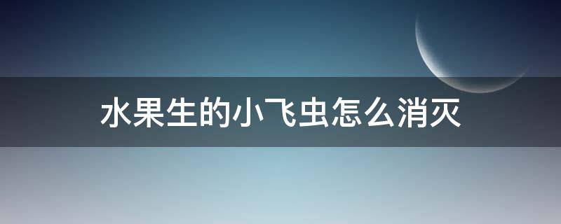 水果生的小飞虫怎么消灭（水果生的小飞虫怎么消灭它）