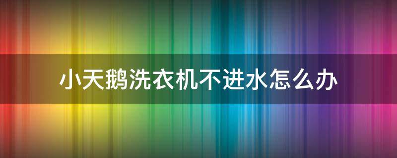 小天鹅洗衣机不进水怎么办（小天鹅洗衣机不进水怎么办视频教程）