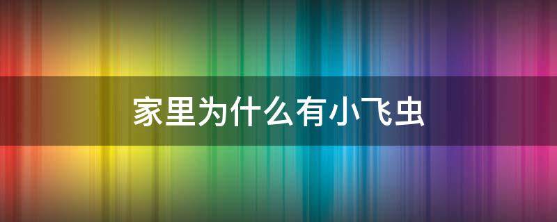 家里为什么有小飞虫 家里出现小飞虫找不到源头